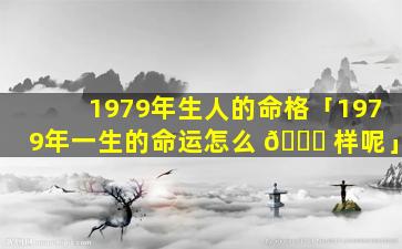 1979年生人的命格「1979年一生的命运怎么 🐞 样呢」